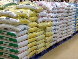 اسماعیلی: چرا برای فروش برنج کشاورزان اقدامی نمی‌شود