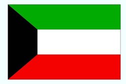 رییس پارلمان کویت حادثه سقوط هواپیما را تسلیت گفت