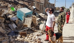 فلاحت‌پیشه: هلال‌احمر حساب خاصی برای ساخت مسکن زلزله‌زدگان اختصاص دهد
