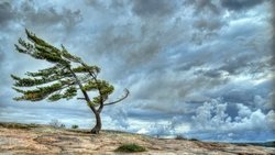 وزش باد شدید در ۵ استان