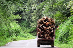 کشف بیش از 4 تن چوب قاچاق در رضوانشهر