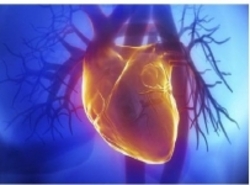۶ علامتی که از بیماری‌های قلبی عروقی خبر می‌دهند