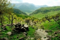 دو طرح موازی برای نابودی زاگرس  صدور مجوز برای کوه خواری در کشور