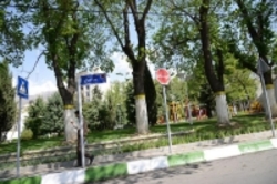 تصویب تعرفه پایه هزینه جابه جایی درختان پایتخت در شورای شهر