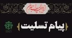پیام تسلیت وزیر اطلاعات به مناسبت رحلت آیت الله هاشمی شاهرودی