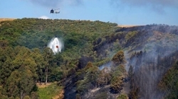 سقوط بالگرد آتش‌نشان در نیوزیلند
