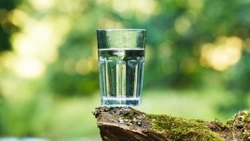 «آب سالم» مهمترین عامل سلامت در سفرهای نوروزی