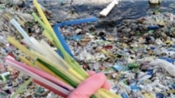 ممنوعیت استفاده از نیِ پلاستیکی در "نوشاتل" سوئیس