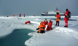 رکورد جدید آلودگی‌های پلاستیکی در دریای شمالگان