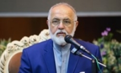 شهنازی: باید برای حیدر فرمان یک شناسنامه ایرانی بگیریم