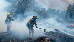 آتش‌سوزی‌ گسترده در شمال کالیفرنیا و تخلیه خانه‌ها
