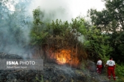 غفلت، علت بروز 90 درصد آتش‌سوزی‌های اخیر در جنگل و مراتع خراسان‌شمالی