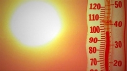افزایش شمار قربانیان گرمای کانادا به ۱۸ تن