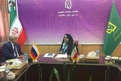 دیدار سفیر روسیه در ایران با معاون رئیس جمهور در امور زنان و خانواده