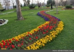 اعتراض انجمن متخصصان فضای سبز به ممنوعیت "کاشت چمن‌ در تهران"