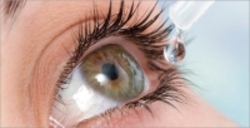 ادعای دانشمندان درباره درمان یک بیماری چشمی با استفاده از زردچوبه