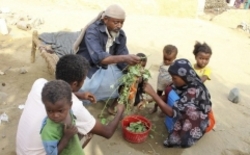 ساکنان یمن از گرسنگی به تغذیه از برگ درختان روی آورده‌اند