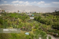 ۲ /۱۱ درصد از مساحت شهر تهران به بوستان‌ها اختصاص دارد