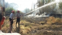 آتش سوزی در جنگل‌های نوروزلو میاندوآب +تصاویر