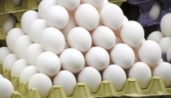 ثبات نرخ تخم مرغ در بازار اختلالات حمل و نقل برای مرغداران دردسرساز شد
