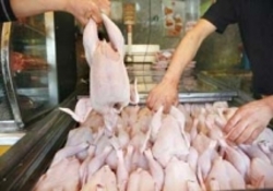 افزایش 200 تومانی نرخ مرغ در بازار  قیمت به 10 هزار و 200 تومان رسید
