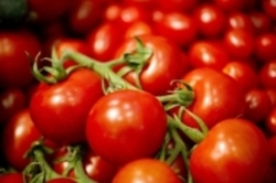 گوجه فرنگی ارزان شد/ کاهش عرضه سیب زمینی در میدان میوه و تره بار