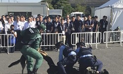 مانور نظامی ژاپنی‌ها برای برقراری امنیت در زمان برگزاری المپیک