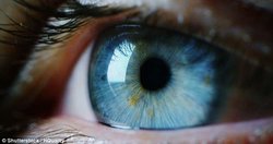 نشانه اولیه در تشخیص عارضه چشمی "دژنراسیون ماکولا"