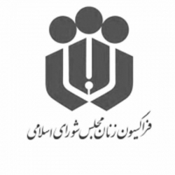 فراکسیون زنان مجلس درگذشت مدیرعامل و معاون سازمان تامین اجتماعی را تسلیت گفت