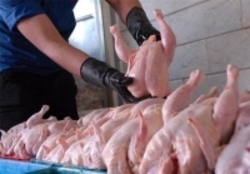 کاهش 150 تومانی نرخ مرغ در بازار