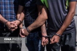 دستگیری بیش از ۶۵۰ سارق و مالخر در پایتخت