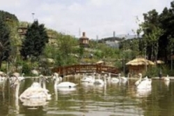 ظرفیت بالای باغ پرندگان تهران در جذب گردشگر