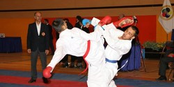 علینژاد, تیموری و عاشوری برای برنز لیگ جهانی کاراته چین می جنگند