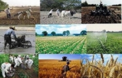 کمیسیون کشاورزی عدم‌اجرای قانون خرید تضمینی محصولات کشاورزی را پیگیری می‌کند