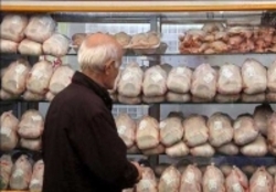 نوسان قیمت مرغ در بازار قیمت مرغ به ۱۵ هزار و ۵۰۰ تومان رسید