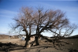 «خشک قرنی» پدیده پیش روی کشور
