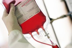 بحران کرونا در قم، اهدای خون را 50 درصد کاهش داد/ کرونا با خون منتقل نمی‌شود