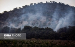کاهش ۱۳۰ درصدی آتش‌سوزی در جنگل‌های کشور