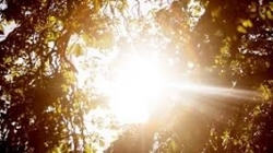 هشدار وزارت بهداشت در آستانه فصل گرما؛ پرتوهای خورشید را جدی بگیرید