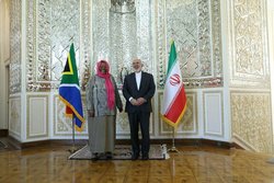 دیدار ظریف با وزیر امور خارجه آفریقای جنوبی