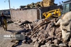 آخرین وضعیت امنیت در مناطق زلزله زده/ حضور فعال پلیس