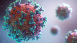 کروناویروس و خطر ابتلا به دیابت