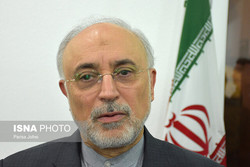 قدردانی رئیس سازمان انرژی اتمی از علی لاریجانی