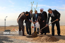 رئیس‌جمهوری یک اصله نهال بادام کاشت