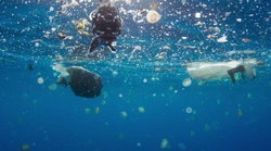 افزایش سه برابری نفوذ مواد پلاستیکی به دریا طی ۱۰ سال