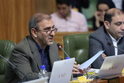 حبیب‌زاده: شورای شهری‌ها با رفتن  نجفی  مخالفند