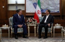 تهران و تاشکند ظرفیت‌های فراوانی برای توسعه مناسبات دارند