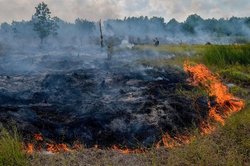 هیچ آتشی در مناطق حفاظت شده گیلان گزارش نشده است