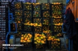 اجرای استاندارد مدیریت ایمنی موادغذایی در میادین میوه و تره بار