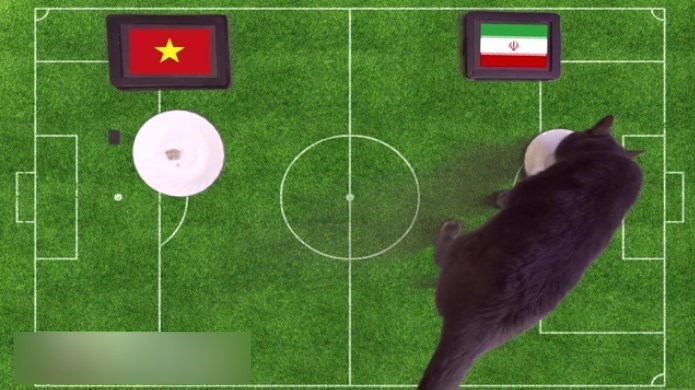 پیشبینی برنده بازی ایران و ویتنام توسط گربه سیاه کاس پیشبینی برنده بازی ایران و ویتنام توسط گربه سیاه کاس